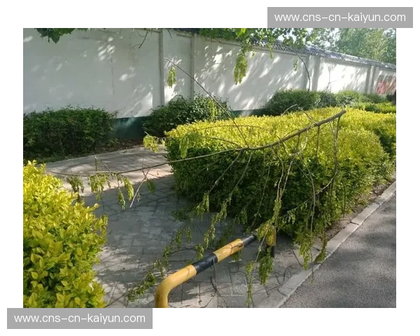 开放制播生态在当前阶段形成 鼓励第三方插件接入提升画面表现力 开放制播生态在当前阶段形成 鼓励第三方插件接入提升画面表现力